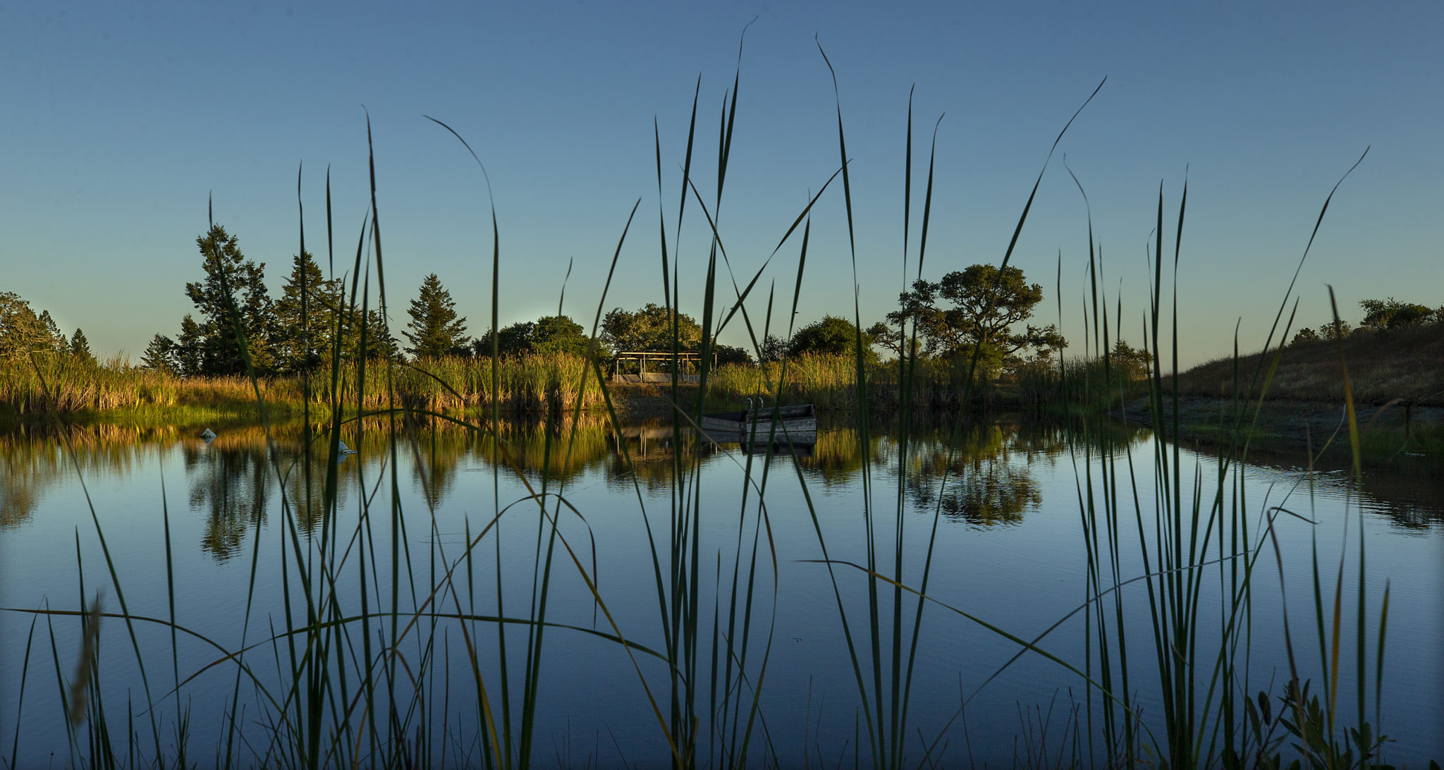 LandPaths Protects Ocean Song - LandPaths