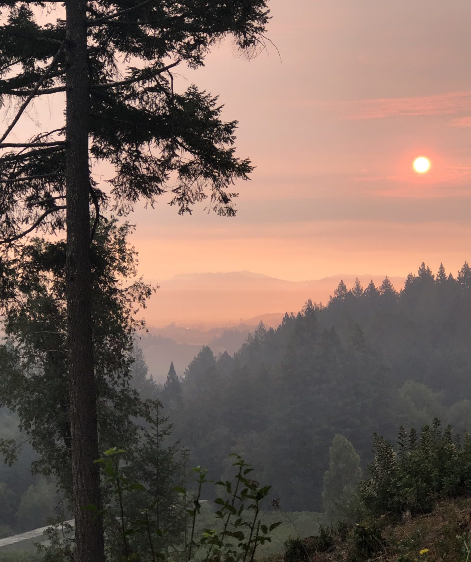 Raspberry Lookout (68256), photo, photograph, image