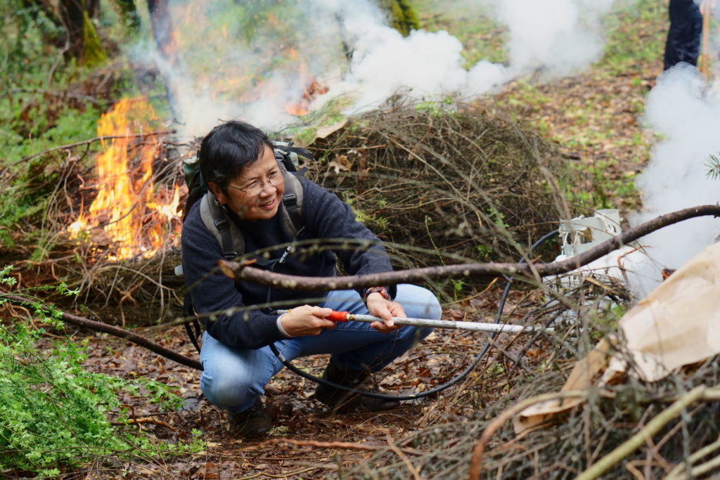 A volunteer works on burn piles at Riddell Preserve