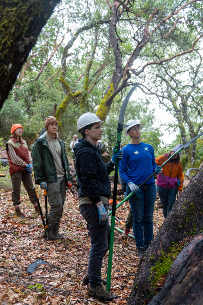 Five people stand watching as someone does a forestry demonstration. They wear hard hats and hold forestry tools and look like they are waiting for more information. 