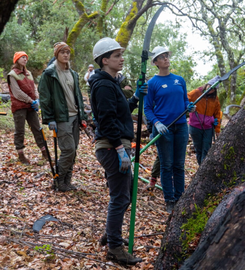 Five people stand in the forest holding tools for forestry. They are learning how to do forestry.