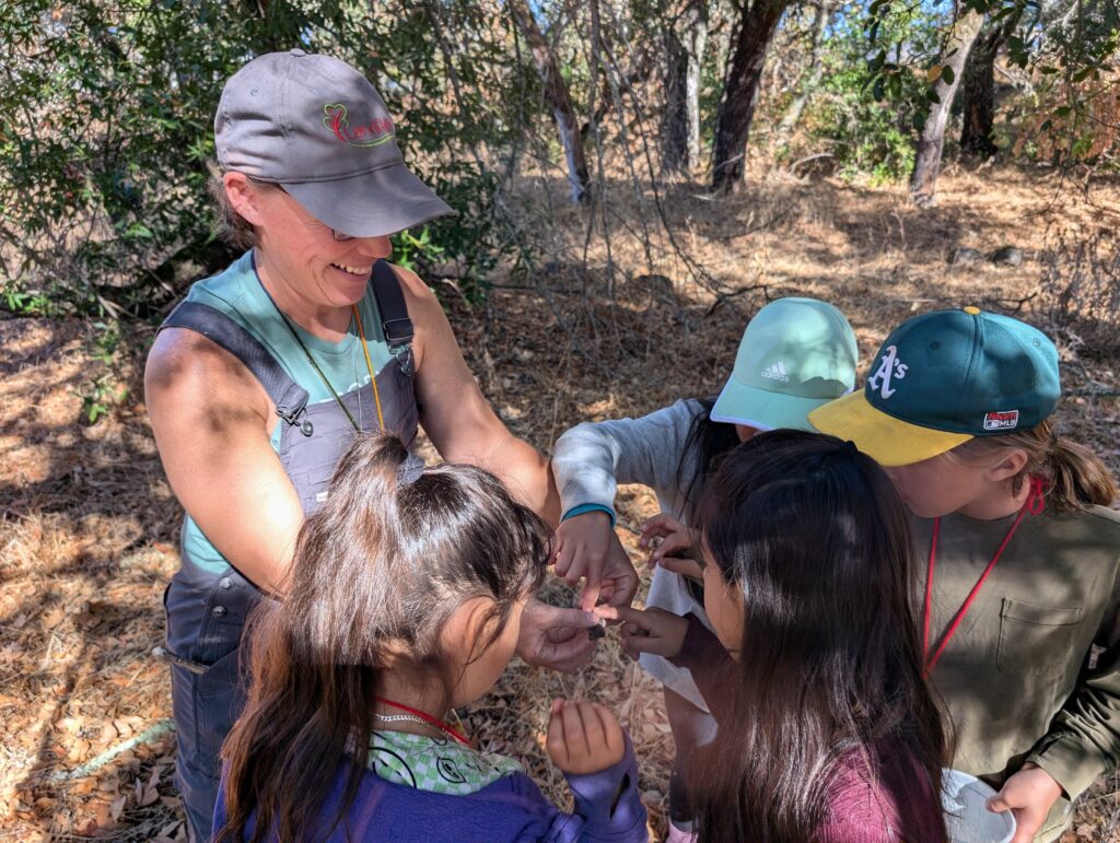 Mich smiles and works with a group of four kids in the forest. They are all engaged in looking at a critter that they found in the forest. 