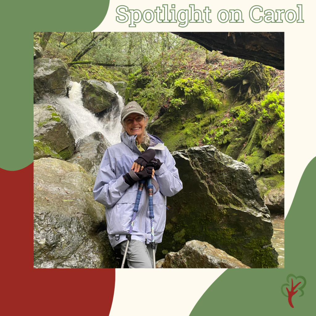 A volunteer, Carol Carr, stands in front of a waterfall near a mossy hill. She is holding two walking sticks and wears a brown baseball camp. she is smiling widely at the camera. 