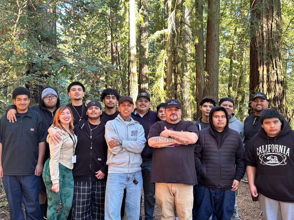 A group of teens and adults stand in front of a beautiful stand of redwood trees.